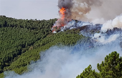 Stato grave pericolosità per gli incendi boschivi su tutto il territorio della Regione Liguria a partire dalle ore 00:01 di sabato 22/07/2023.